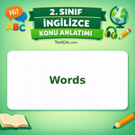 2. Sınıf İngilizce Words Konu Anlatımı - testçöz.com