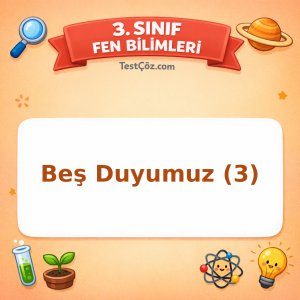3. Sınıf Fen Bilimleri Beş Duyumuz (3) Testi - testçöz.com