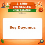 3. Sınıf Fen Bilimleri Beş Duyumuz Konu Anlatımı - testçöz.com