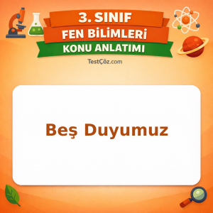 3. Sınıf Fen Bilimleri Beş Duyumuz Konu Anlatımı - testçöz.com