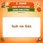 3. Sınıf Fen Bilimleri Işık ve Ses Konu Anlatımı - testçöz.com