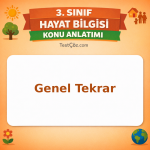 3. Sınıf Hayat Bilgisi Genel Tekrar Konu Anlatımı - testçöz.com