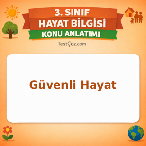 3. Sınıf Hayat Bilgisi Güvenli Hayat Konu Anlatımı - testçöz.com