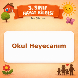 3. Sınıf Hayat Bilgisi Okul Heyecanım Testi - testçöz.com