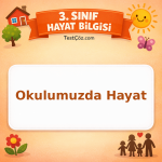 3. Sınıf Hayat Bilgisi Okulumuzda Hayat Testi - testçöz.com