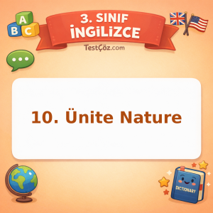 3. Sınıf İngilizce 10. Ünite Nature Testi - testçöz.com