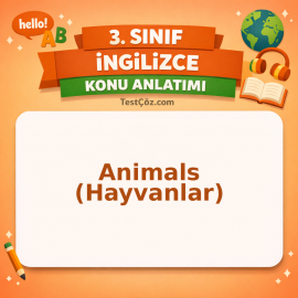 3. Sınıf İngilizce Animals (Hayvanlar) Konu Anlatımı - testçöz.com