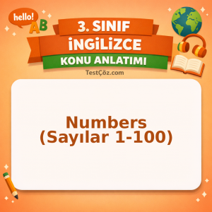 3. Sınıf İngilizce Numbers (Sayılar 1-100) Konu Anlatımı - testçöz.com