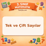 3. Sınıf Matematik Tek ve Çift Sayılar Testi - testçöz.com