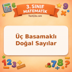 3. Sınıf Matematik Üç Basamaklı Doğal Sayılar Testi - testçöz.com