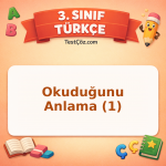 3. Sınıf Türkçe Okuduğunu Anlama (1) Testi - testçöz.com
