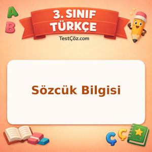 3. Sınıf Türkçe Sözcük Bilgisi Testi - testçöz.com
