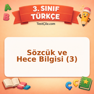 3. Sınıf Türkçe Sözcük ve Hece Bilgisi (3) Testi - testçöz.com