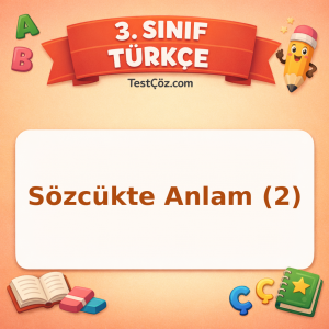 3. Sınıf Türkçe Sözcükte Anlam (2) Testi - testçöz.com