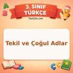 3. Sınıf Türkçe Tekil ve Çoğul Adlar Testi - testçöz.com