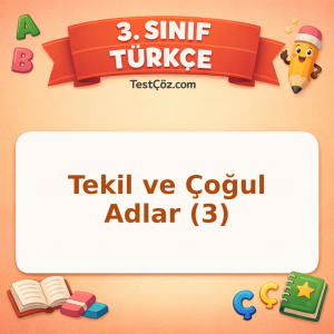 3. Sınıf Türkçe Tekil ve Çoğul Adlar (3) Testi - testçöz.com