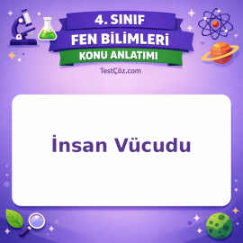 4. Sınıf Fen Bilimleri İnsan Vücudu Konu Anlatımı - testçöz.com
