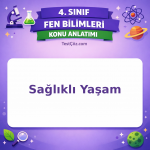 4. Sınıf Fen Bilimleri Sağlıklı Yaşam Konu Anlatımı - testçöz.com