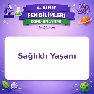 4. Sınıf Fen Bilimleri Sağlıklı Yaşam Konu Anlatımı - testçöz.com
