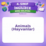 4. Sınıf İngilizce Animals (Hayvanlar) Konu Anlatımı - testçöz.com