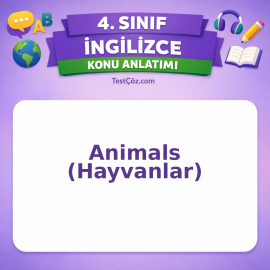 4. Sınıf İngilizce Animals (Hayvanlar) Konu Anlatımı - testçöz.com