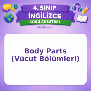 4. Sınıf İngilizce Body Parts (Vücut Bölümleri) Konu Anlatımı - testçöz.com