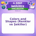 4. Sınıf İngilizce Colors and Shapes (Renkler ve Şekiller) Konu Anlatımı - testçöz.com