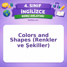 4. Sınıf İngilizce Colors and Shapes (Renkler ve Şekiller) Konu Anlatımı - testçöz.com
