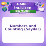 4. Sınıf İngilizce Numbers and Counting (Sayılar) Konu Anlatımı - testçöz.com