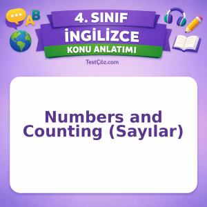 4. Sınıf İngilizce Numbers and Counting (Sayılar) Konu Anlatımı - testçöz.com