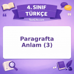4. Sınıf Türkçe Paragrafta Anlam (3) Testi - testçöz.com