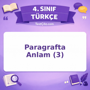 4. Sınıf Türkçe Paragrafta Anlam (3) Testi - testçöz.com