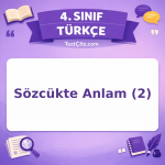 4. Sınıf Türkçe Sözcükte Anlam (2) Testi - testçöz.com