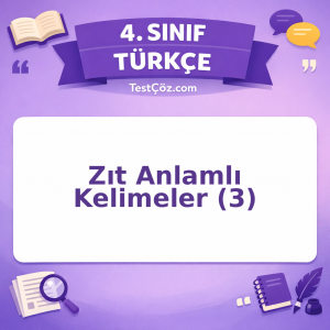 4. Sınıf Türkçe Zıt Anlamlı Kelimeler (3) Testi - testçöz.com