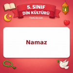 5. Sınıf Din Kültürü Namaz Testi - testçöz.com