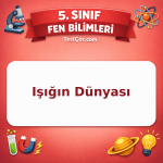 5. Sınıf Fen Bilimleri Işığın Dünyası Testi - testçöz.com