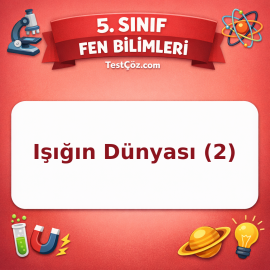 5. Sınıf Fen Bilimleri Işığın Dünyası (2) Testi - testçöz.com