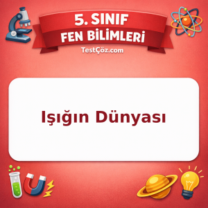 5. Sınıf Fen Bilimleri Işığın Dünyası Testi - testçöz.com