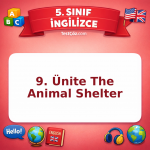 5. Sınıf İngilizce 9. Ünite The Animal Shelter Testi - testçöz.com