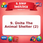 5. Sınıf İngilizce 9. Ünite The Animal Shelter (2) Testi - testçöz.com