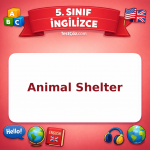 5. Sınıf İngilizce Animal Shelter Testi - testçöz.com