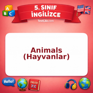 5. Sınıf İngilizce Animals (Hayvanlar) Testi - testçöz.com