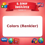 5. Sınıf İngilizce Colors (Renkler) Testi - testçöz.com