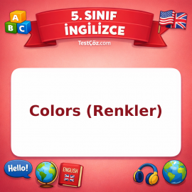 5. Sınıf İngilizce Colors (Renkler) Testi - testçöz.com