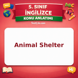 5. Sınıf İngilizce Animal Shelter Konu Anlatımı - testçöz.com