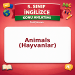 5. Sınıf İngilizce Animals (Hayvanlar) Konu Anlatımı - testçöz.com