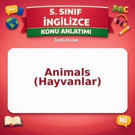 5. Sınıf İngilizce Animals (Hayvanlar) Konu Anlatımı - testçöz.com
