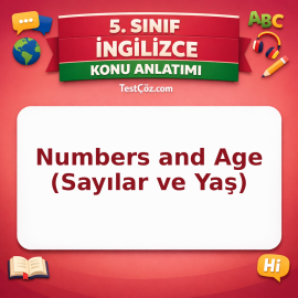 5. Sınıf İngilizce Numbers and Age (Sayılar ve Yaş) Konu Anlatımı - testçöz.com