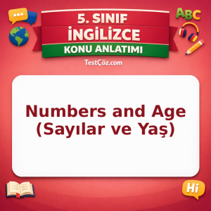 5. Sınıf İngilizce Numbers and Age (Sayılar ve Yaş) Konu Anlatımı - testçöz.com