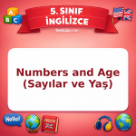 5. Sınıf İngilizce Numbers and Age (Sayılar ve Yaş) Testi - testçöz.com